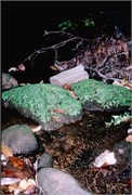 Maine1998_16