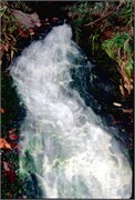 Maine1998_18