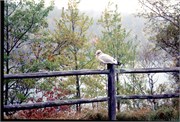 Maine1998_56