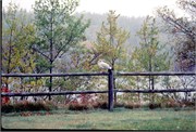 Maine1998_63
