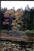 Maine1998_8