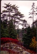 Maine1998_9