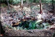 PeacockAndTelfordSprings_1