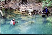 PeacockAndTelfordSprings_10