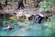 PeacockAndTelfordSprings_11