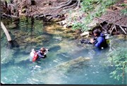 PeacockAndTelfordSprings_12