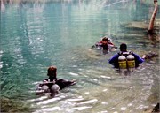 PeacockAndTelfordSprings_13