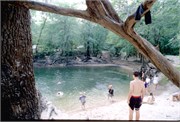 PeacockAndTelfordSprings_2