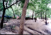 PeacockAndTelfordSprings_4