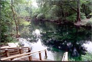 PeacockAndTelfordSprings_5
