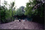 PeacockAndTelfordSprings_8