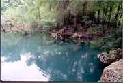 PeacockAndTelfordSprings_9
