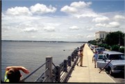 IsleOfPalms_3
