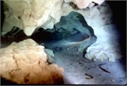 VortexSprings1998_10