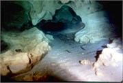 VortexSprings1998_11