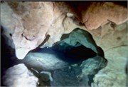 VortexSprings1998_13