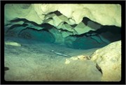 VortexSprings1998_7