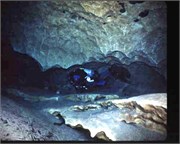 VortexSprings1998_9