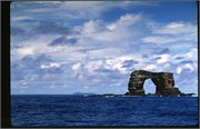 Galapagos4_15
