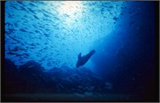 Galapagos4_18