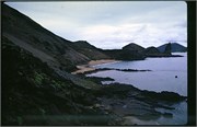 Galapagos4_19