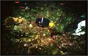 Galapagos4_4
