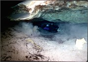 VortexSprings5_10