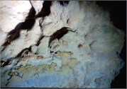VortexSprings5_101