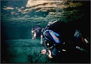 VortexSprings5_103