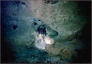 VortexSprings5_107