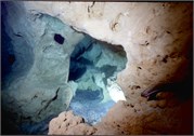 VortexSprings5_108