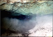 VortexSprings5_11