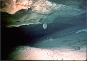 VortexSprings5_12