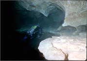 VortexSprings5_14
