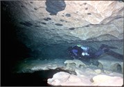VortexSprings5_15