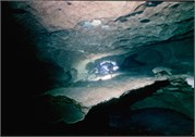 VortexSprings5_16