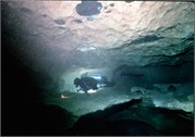 VortexSprings5_17