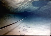 VortexSprings5_18