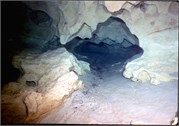 VortexSprings5_22