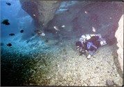 VortexSprings5_24
