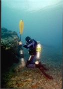 VortexSprings5_28