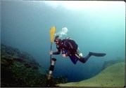 VortexSprings5_31