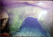 VortexSprings5_40
