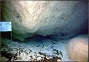 VortexSprings5_43