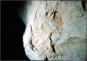 VortexSprings5_46