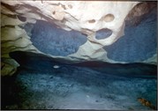 VortexSprings5_47