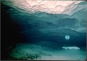 VortexSprings5_5