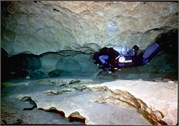 VortexSprings5_55