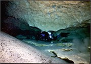 VortexSprings5_56