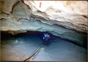VortexSprings5_64